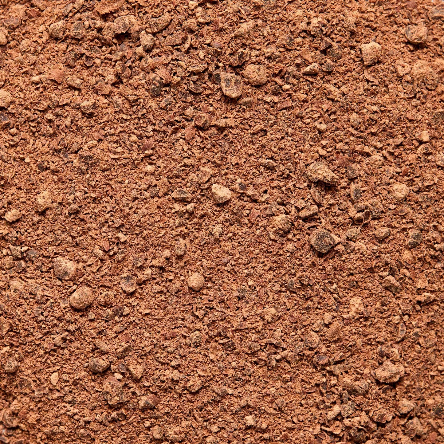 Focus Ceremoniële Cacao - een mix van ceremoniële cacao, leeuwenmanen, cordyceps en specerijen