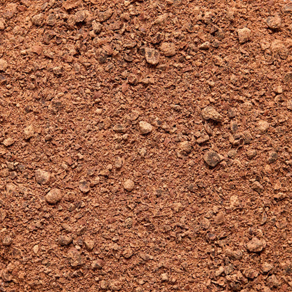 Focus Ceremoniële Cacao - een mix van ceremoniële cacao, leeuwenmanen, cordyceps en specerijen