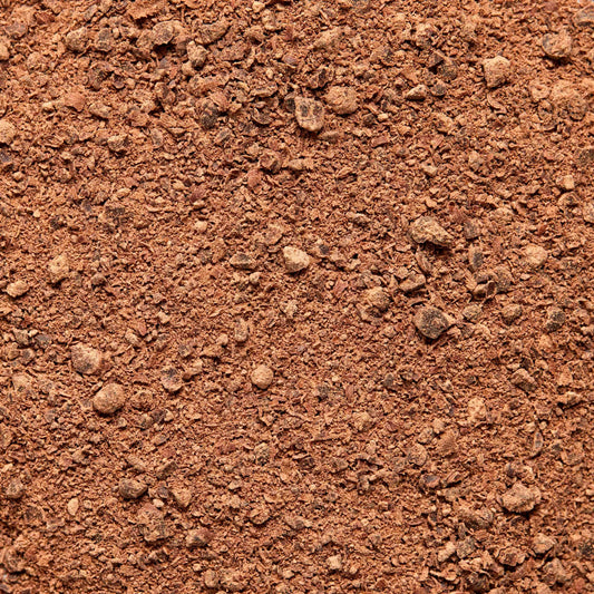 Focus Ceremoniële Cacao - een mix van ceremoniële cacao, leeuwenmanen, cordyceps en specerijen